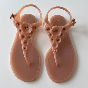 Coach Tea Rose Jelly Sandal in Peony